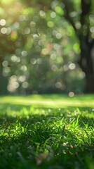 Obraz premium blurred park background