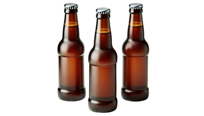 Three brown beer bottles on a transparent background. Two bottles are standing upright next to each other, and one bottle is lying down in front of them