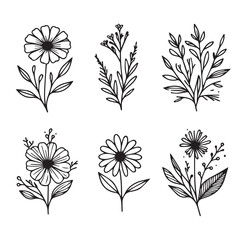 Vector flower illustration. element with botanical floral outline with leaves in black isolated on white background. Anthurium flower contour decoration for summer design or coloring book.