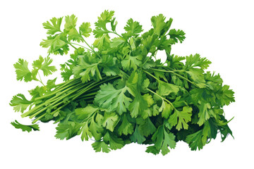 Obraz premium Pixel rendering of fresh green parsley, isolated on white background.