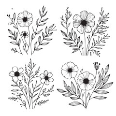 Vector flower illustration. element with botanical floral outline with leaves in black isolated on white background. Anthurium flower contour decoration for summer design or coloring book.