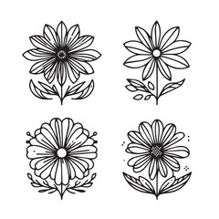 Vector flower illustration. element with botanical floral outline with leaves in black isolated on white background. Anthurium flower contour decoration for summer design or coloring book.