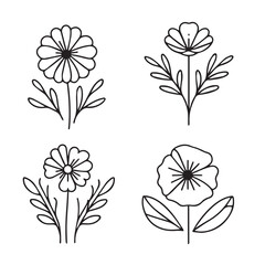 Vector flower illustration. element with botanical floral outline with leaves in black isolated on white background. Anthurium flower contour decoration for summer design or coloring book.