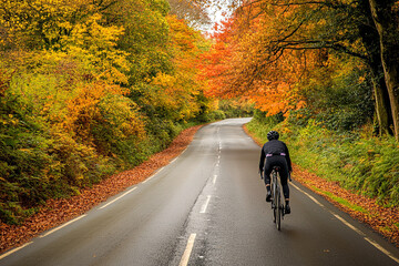 Cyclist Enjoying a Scenic Autumn Ride on a Tree-Lined Rural Road  
