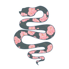 Snake with sakura pattern. Symbol of the year.
