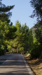 The road to Orient in the Tramuntana valley on the island Mallorca in Spain in August