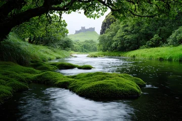 Lush green forest with flowing river and castle in the distance