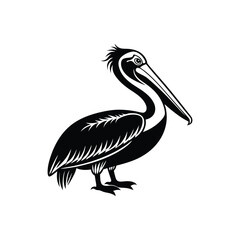pelican vector silhouette.