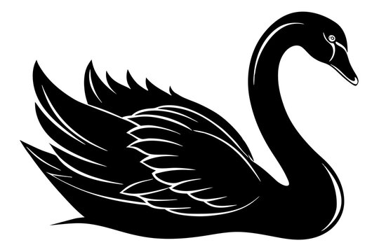 recommend clip art: Swan, black swan icon vector, swan silhouette
                    