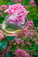 Wine in flowers