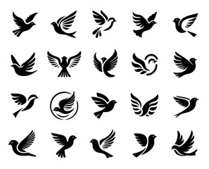 A collection of black and white birds with wings spread out