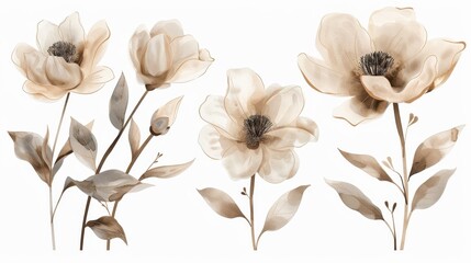 A series of flowers in various shades of white and yellow