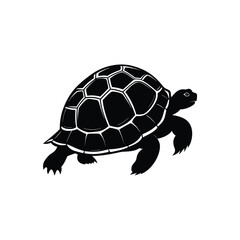tortoise silhouette.