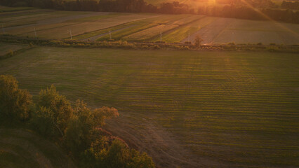 Polish fields at golden hour