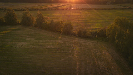 Polish fields at golden hour