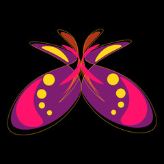 butterfly on black background