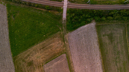 Polish fields at golden hour