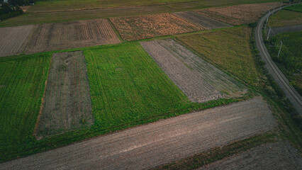 Polish fields at golden hour