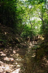 Fototapeta premium 高安山