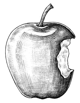 Hand drawn bitten apple fruit transparent png