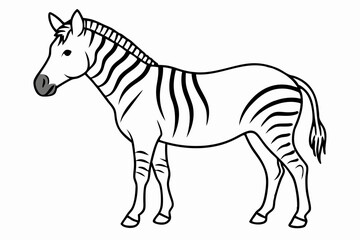 
zebra line art vector, zebra icon, zebra croosing outline vector illustration

