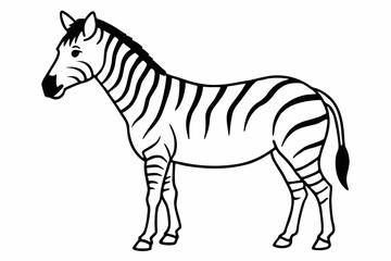 
zebra line art vector, zebra icon, zebra croosing outline vector illustration

