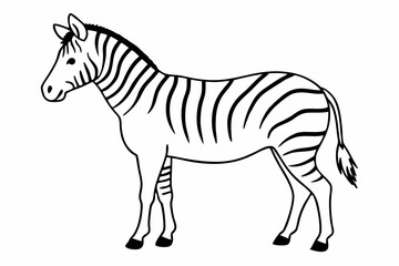 
zebra line art vector, zebra icon, zebra croosing outline vector illustration

