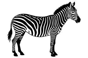 zebra vector, zebra icon, silhouette of zebra croosing vector illustration