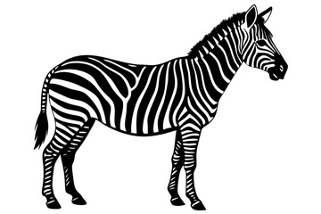 zebra vector, zebra icon, silhouette of zebra croosing vector illustration