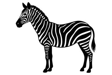 zebra vector, zebra icon, silhouette of zebra croosing vector illustration