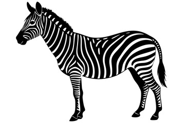 zebra vector, zebra icon, silhouette of zebra croosing vector illustration
