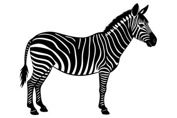 zebra vector, zebra icon, silhouette of zebra croosing vector illustration