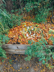 Compost pile and green nature recycling symbol. Fertilizer and compost, recycling sign, nature...