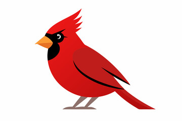 Cardinal bird art vector