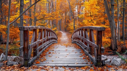  A wooden bridge, surrounded by a forest, is adorned with an orange and yellow carpet of falling leaves beneath it Trees bear vibrant hues of autumn foliage