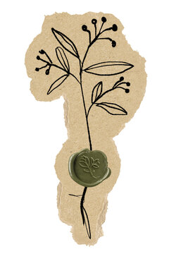 botanical line art on torn paper clip art preview