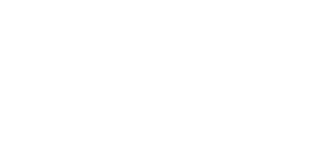 White spider web png, transparent background