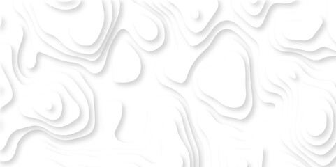 Fototapeta premium Abstract white paper cut background with lines. Background of the topographic map. White wave paper curved reliefs abstract background. Realistic papercut decoration textured with wavy layers.