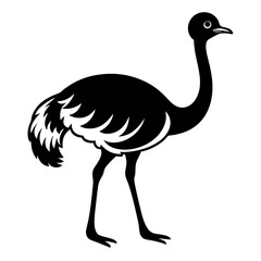 Ostrich Bird Icon Vector Illustration - Cartoon, Clipart, and Line Art Design