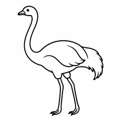 Ostrich Bird Icon Vector Illustration - Cartoon, Clipart, and Line Art Design