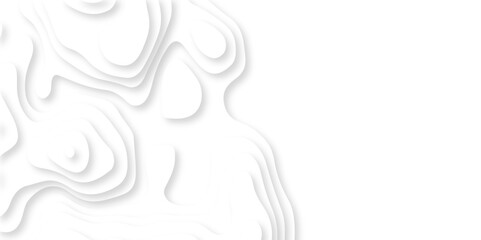Abstract white paper cut background with lines. Background of the topographic map. White wave paper curved reliefs abstract background. Realistic papercut decoration textured with wavy layers.