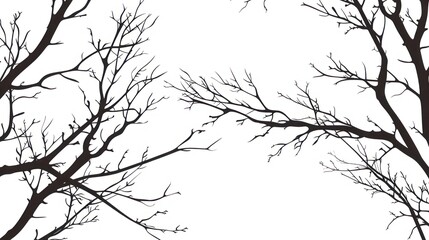 Obraz premium tree branches without leaves on a white background