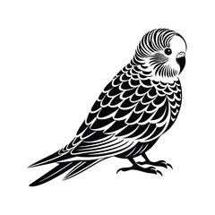 Budgerigar Bird Silhouette Vector