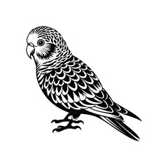 Budgerigar Bird Silhouette Vector