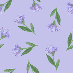 Simple Cornflower Floral Seamless Pattern on a Blue Background. Hand Drawn Simple Cornflower Digital Paper. Wild Meadow Flowers Drawn by Colored Pencils.