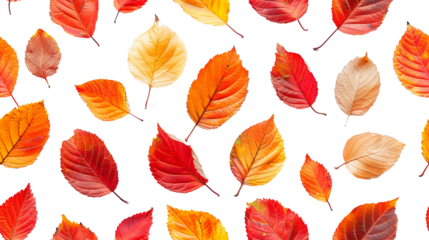 Autumn orange and red leaves seamless pattern transparent background
