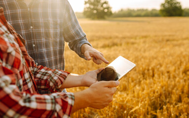 Smart farming. Agricultural technology and organic agriculture. Two farmers using the research...