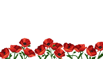 Vector poppy arrangement or poppies field border. Background with red flower. Papaver backdrop or blossom horizontal frame element. Organic and natural banner. Greenery nature decoration. Plant