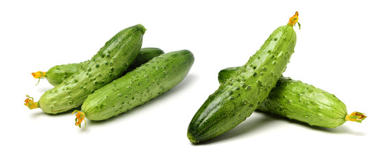Green cucumber on the white background
