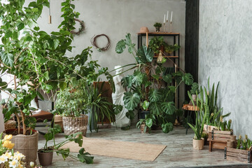 A fragment of the interior with a variety of indoor plants and plaster sculptures. Urban jungle concept. Biophilia design.